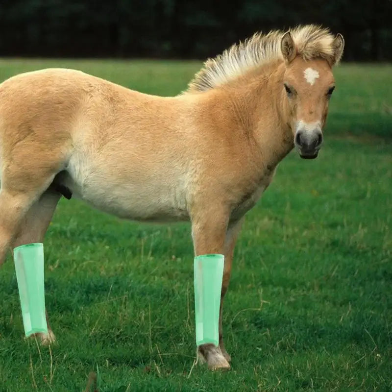 Horse Fly Boots 4 PCS Fly Boots Reusable For - ProPawPet.com
