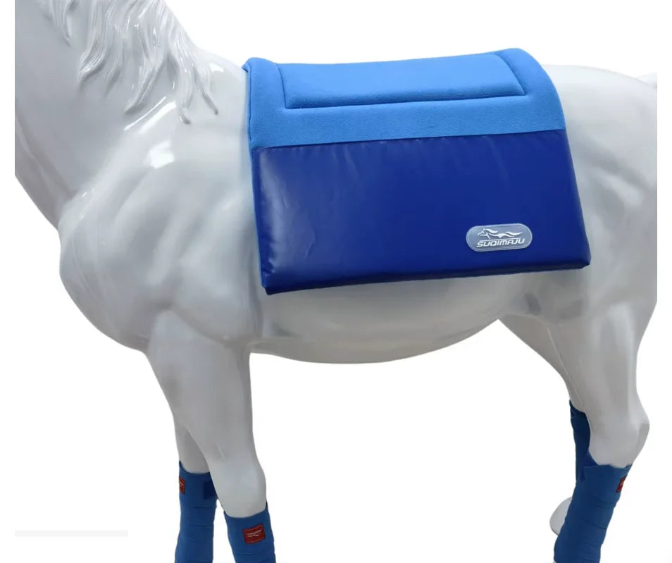 Equestrian morning exercises pad saddle pad - ProPawPet.com