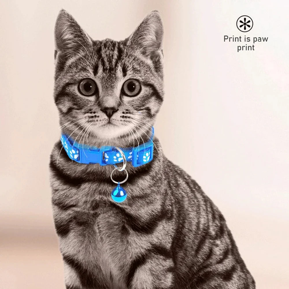 Colorful Pet Pattern Small Dog and Cat - ProPawPet.com