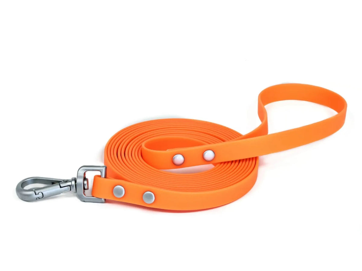 Studded Rivet PVC Dog Leash Waterproof - ProPawPet.com