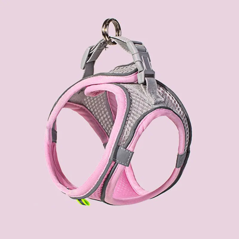 Pet Cat Dog Harness Vest Chest Rope Set - ProPawPet.com