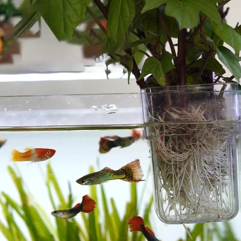 1/5Pcs Hydroponic Planting Cup Household - ProPawPet.com