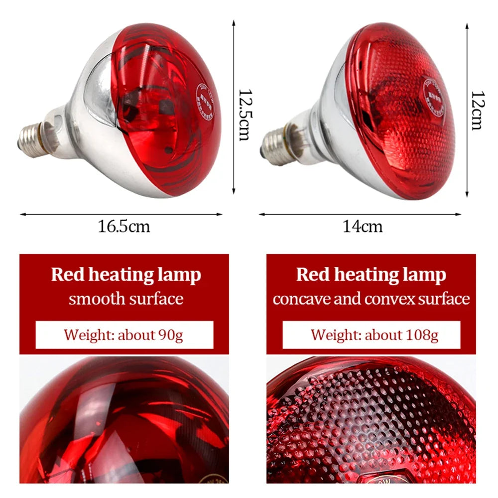 New Pet Reptile Heating Lamp Set - ProPawPet.com