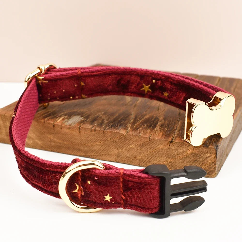 Premium Custom Engraved Dog Collar for Small - ProPawPet.com