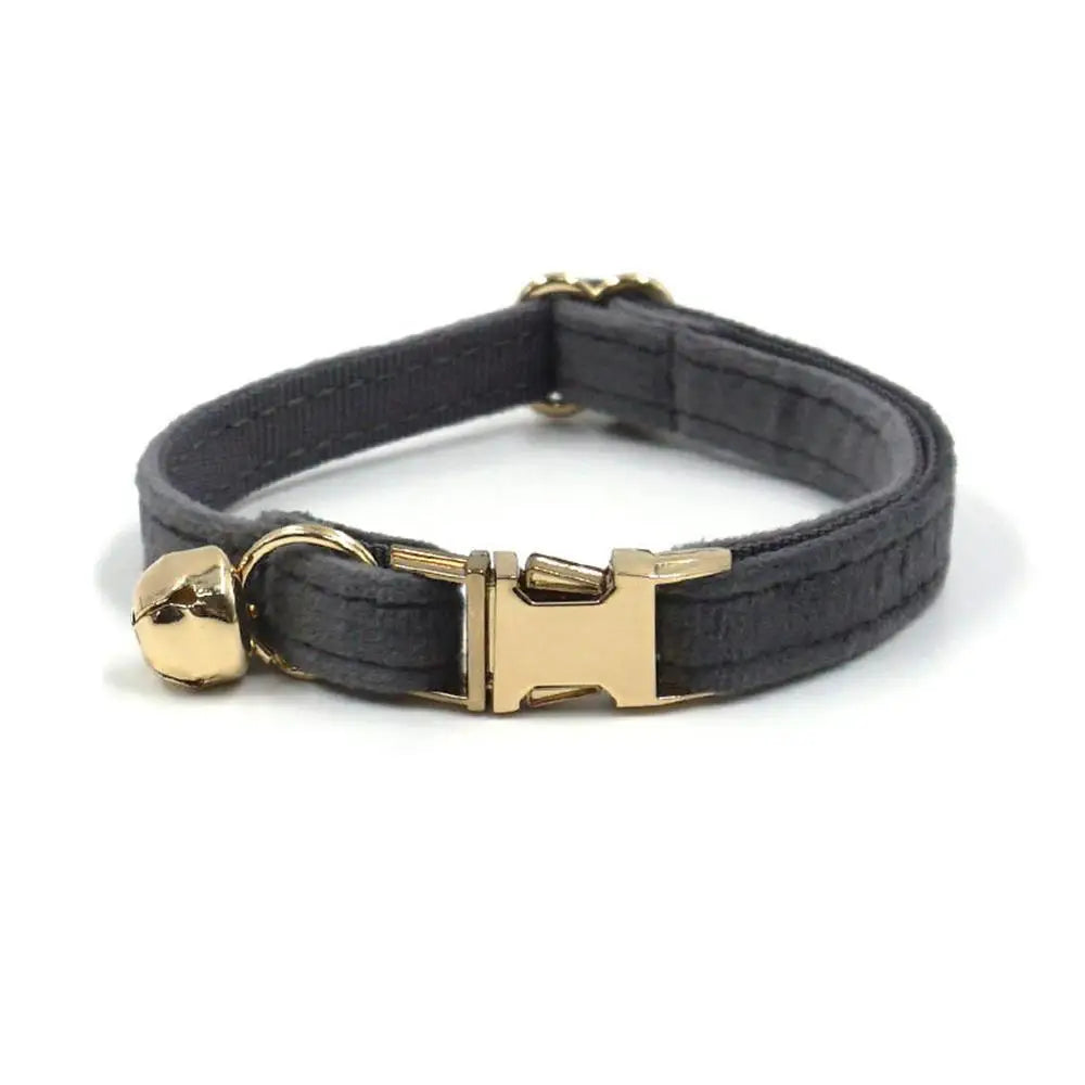 Free Engraving Customized Multicolor Soft - ProPawPet.com