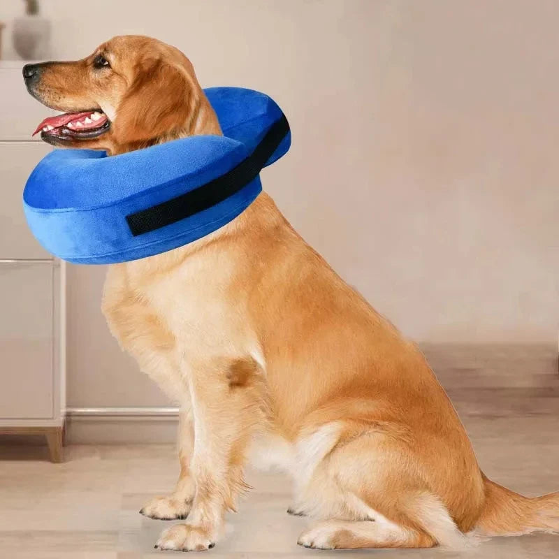 Inflatable Dog Collar Anti-bite Elizabethan - ProPawPet.com