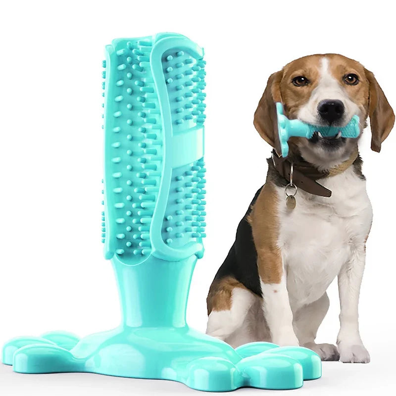 Dog Cactus Interactive Rubber Bite Resistant Chew Toys – 4 Colors