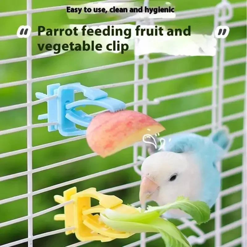 2/4Pcs Pet Bird Food Holder Parrot Fruits - ProPawPet.com
