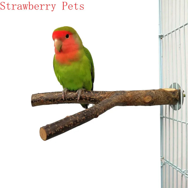 Natural Wood Pet Parrot Raw Wood Fork Tree - ProPawPet.com