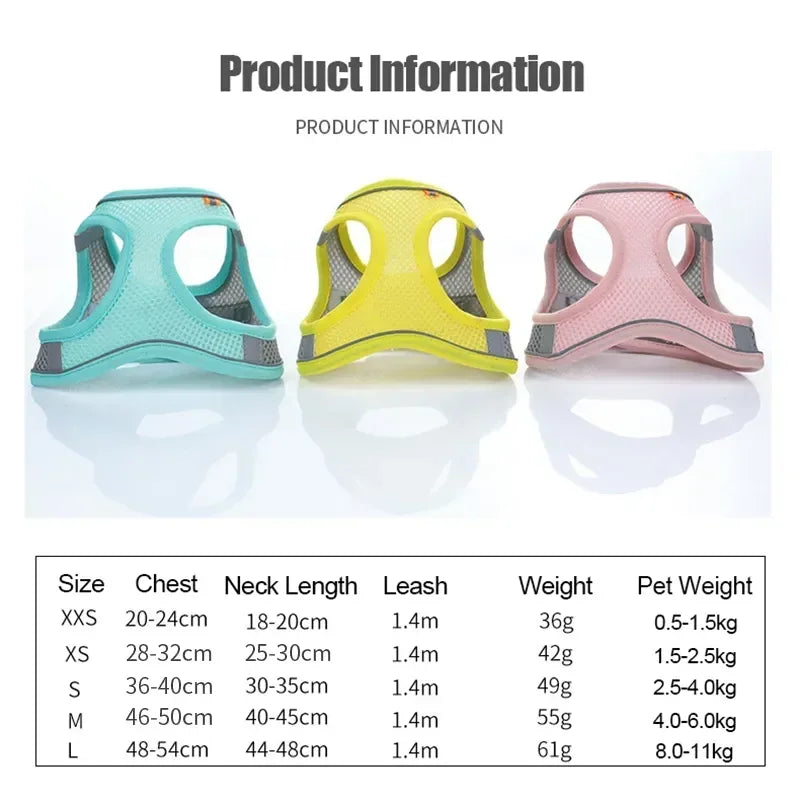 Cats Dog Accessories Small Dog Collar Safety - ProPawPet.com