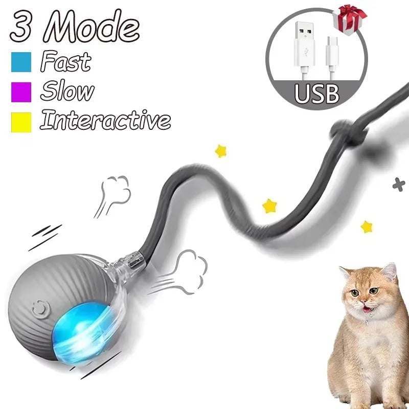 Dog Cat Interactive Ball Toy Automatic - ProPawPet.com