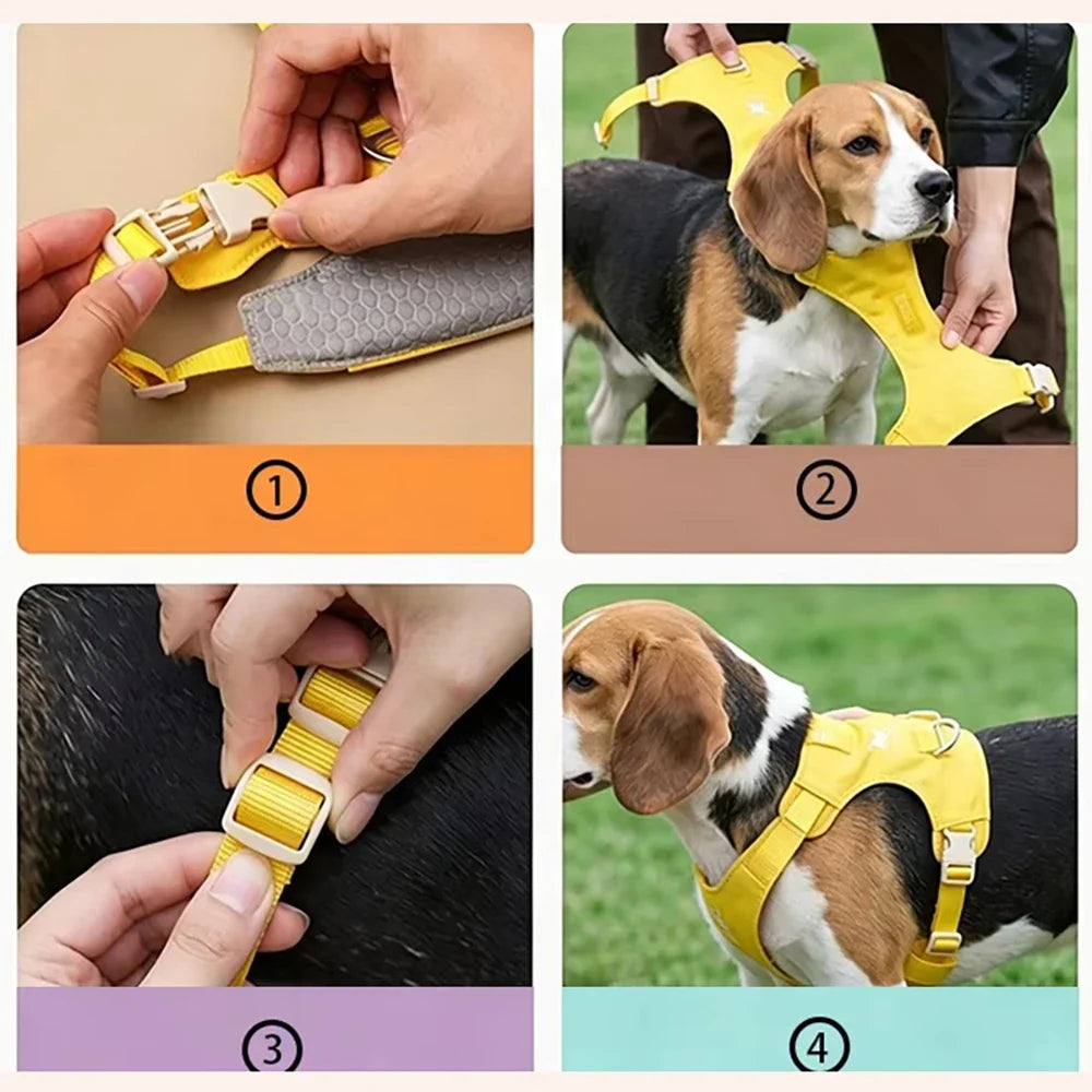 Lightweight Dog Harness & Leash Set - ProPawPet.com