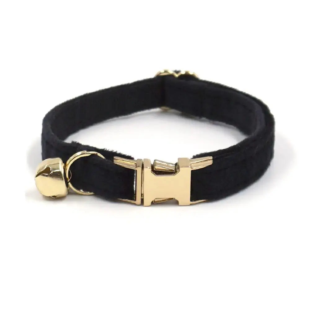 Free Engraving Customized Multicolor Soft - ProPawPet.com