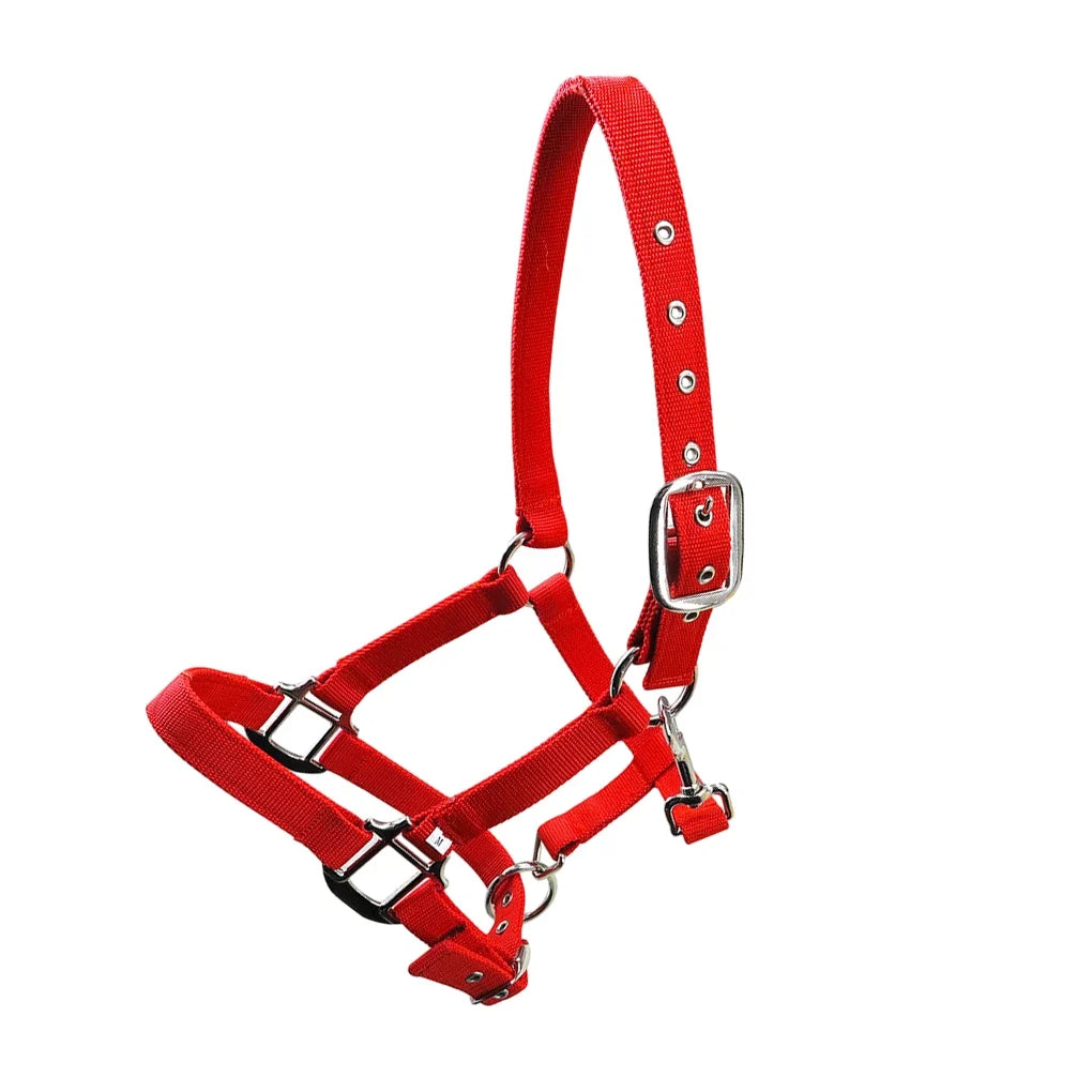 Padded Halter Pony Bridle Head Collar - ProPawPet.com