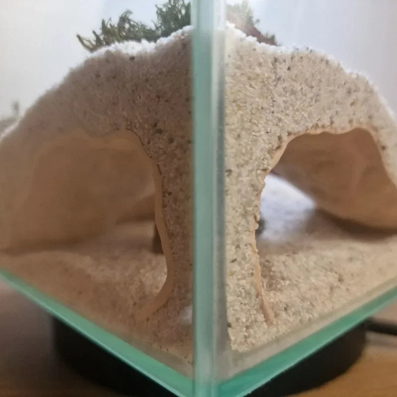 3D Printed Aquarium Cave Fish Shrimp Reptile - ProPawPet.com