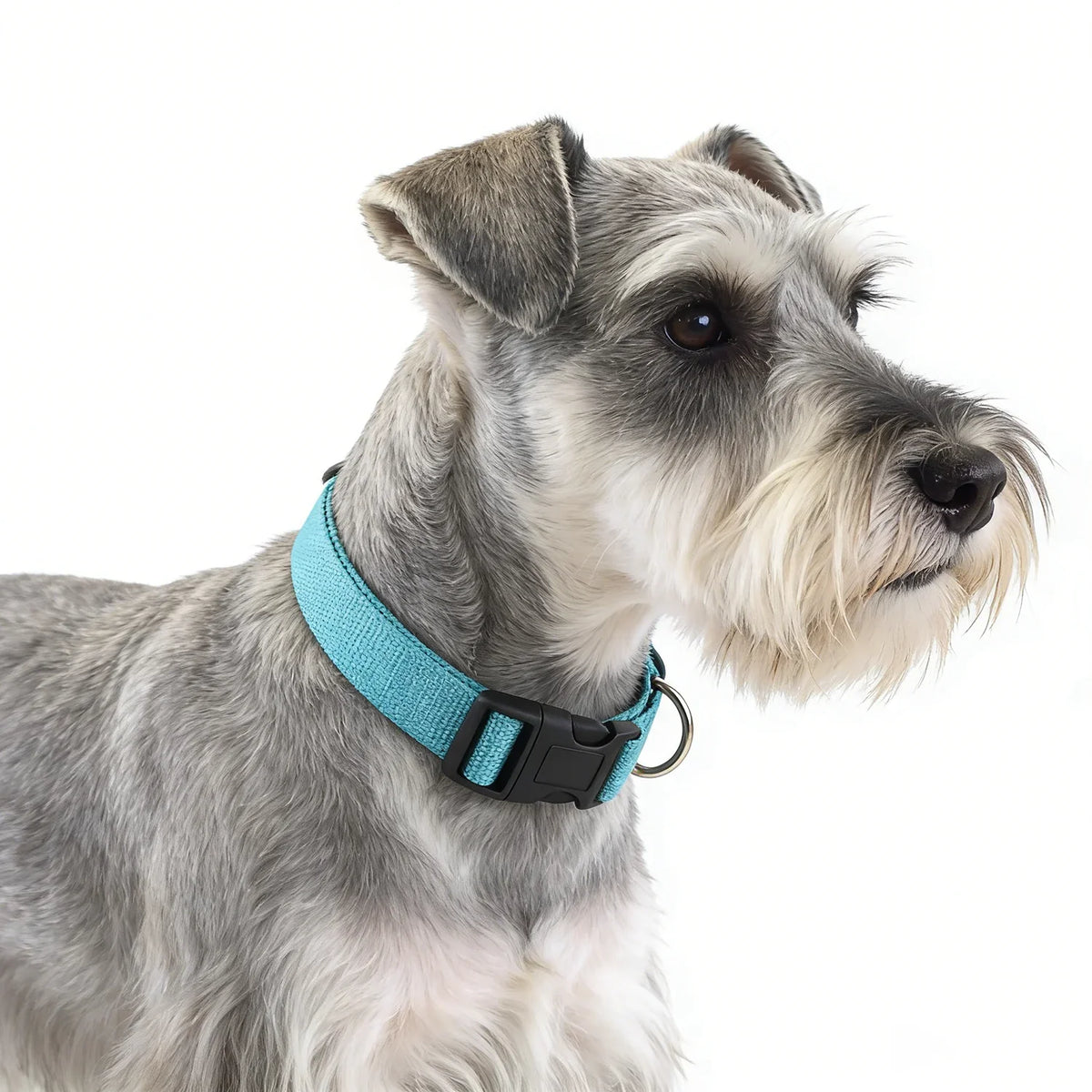 Adjustable Superior Nylon Dog Collar Heavy - ProPawPet.com