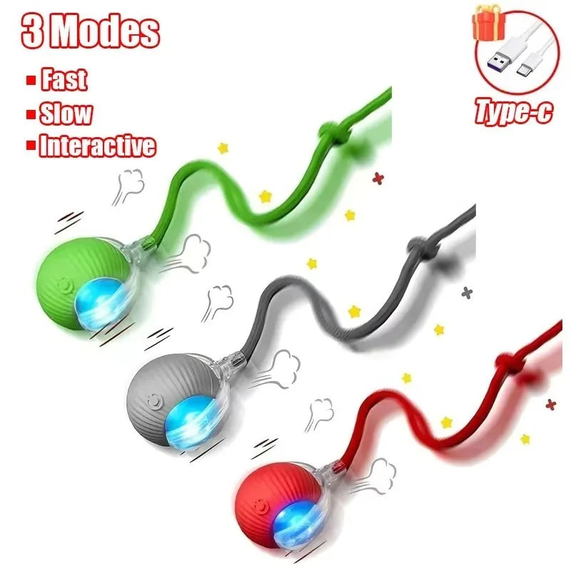 Indoor Interactive Birds Toy for Cat Chasing - ProPawPet.com