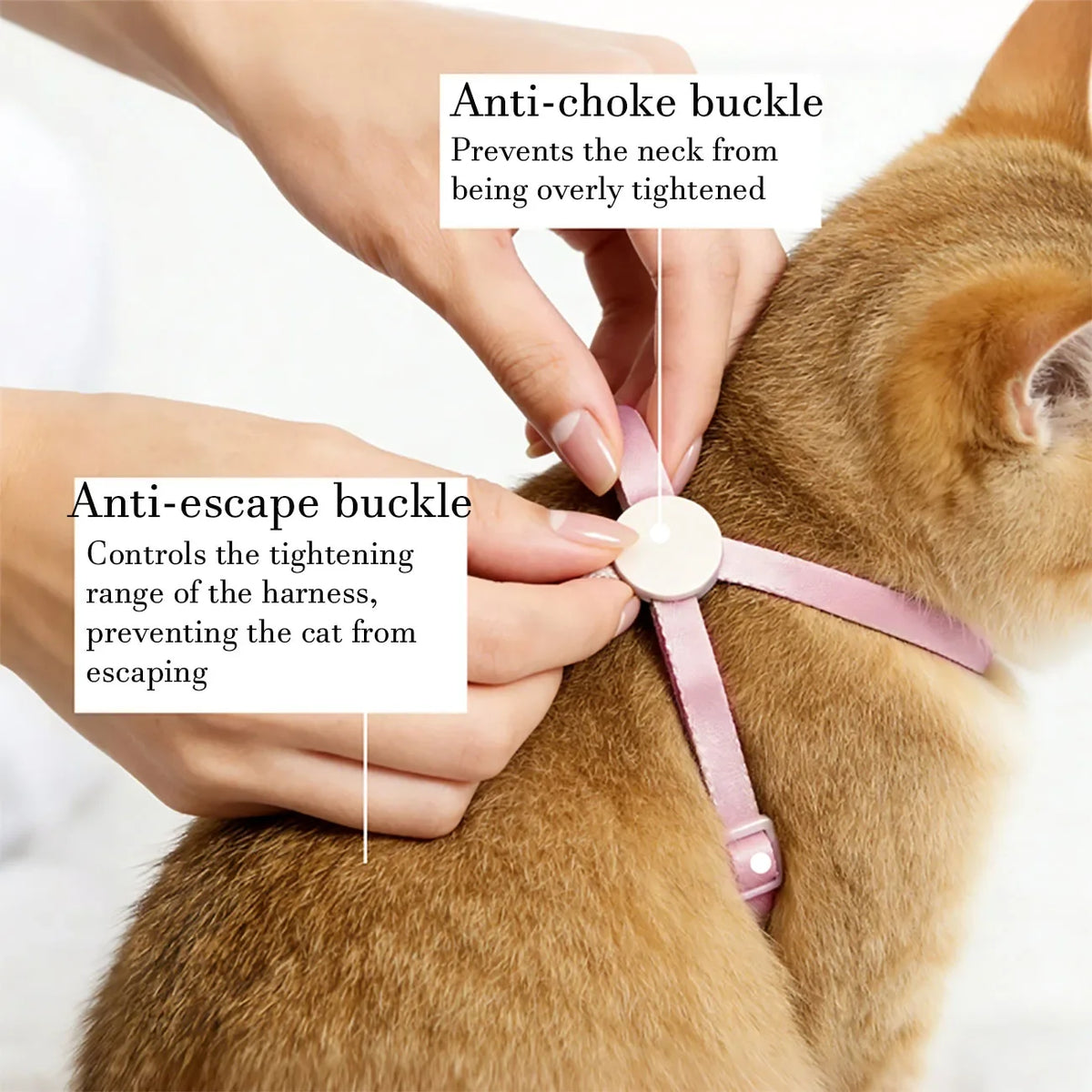 Cat Puppy Outdoor Walking Supplies Fashion - ProPawPet.com