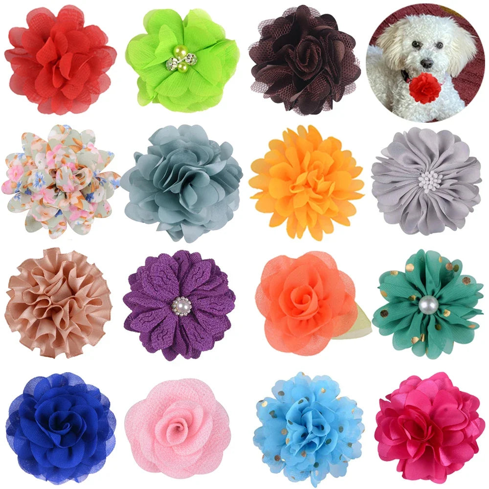 50/100pcs Big Flower-Collar Dog Flower - ProPawPet.com