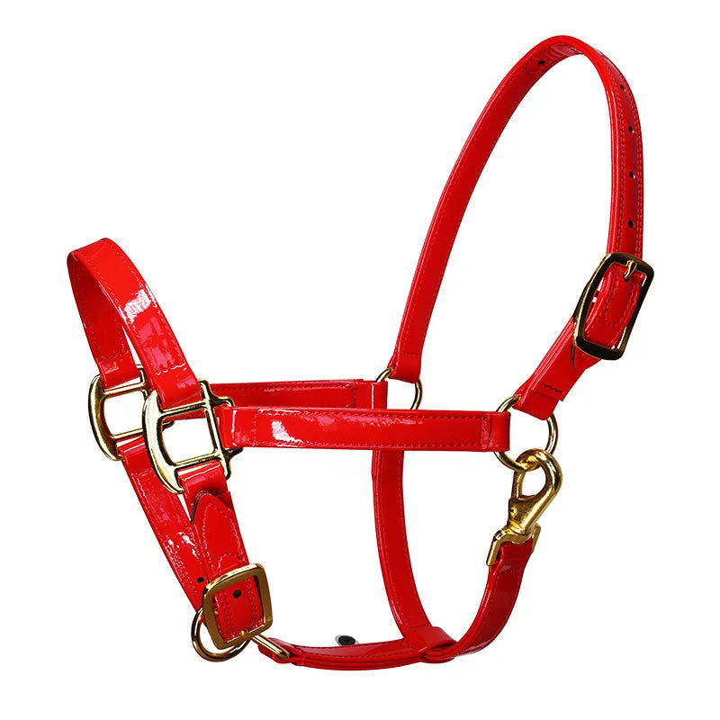 Adjustable PVC Horse Halter Soft Microfiber - ProPawPet.com