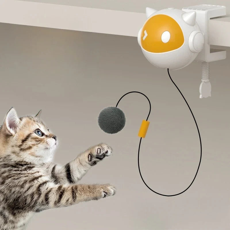 Automatic Lifting Cat Toy Ball Interactive - ProPawPet.com