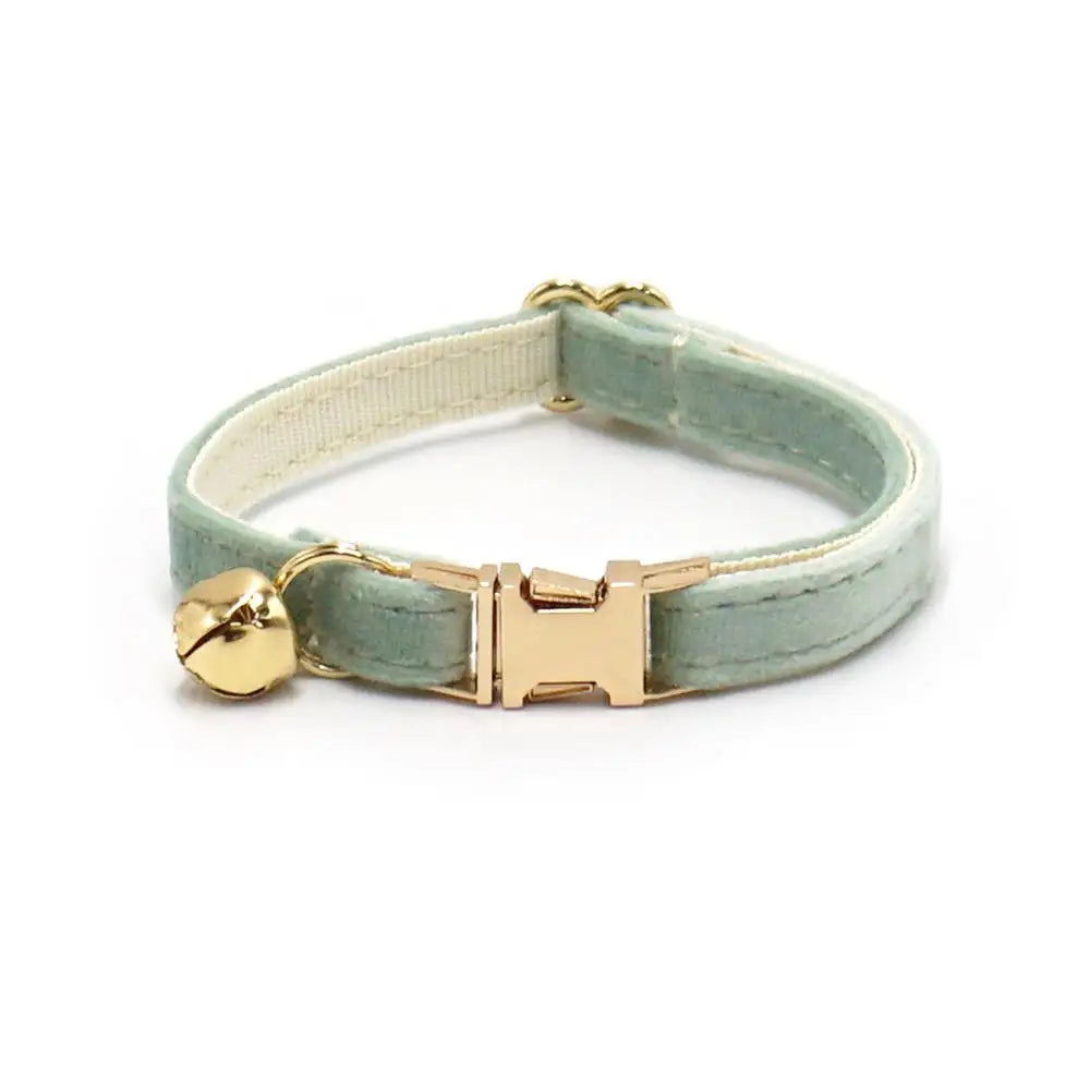 Free Engraving Customized Multicolor Soft - ProPawPet.com