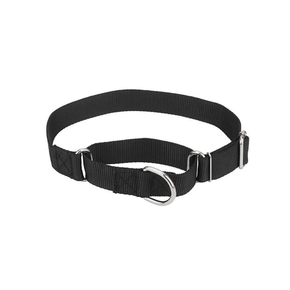 Martingale Collar for Dogs,Dog Collar with - ProPawPet.com