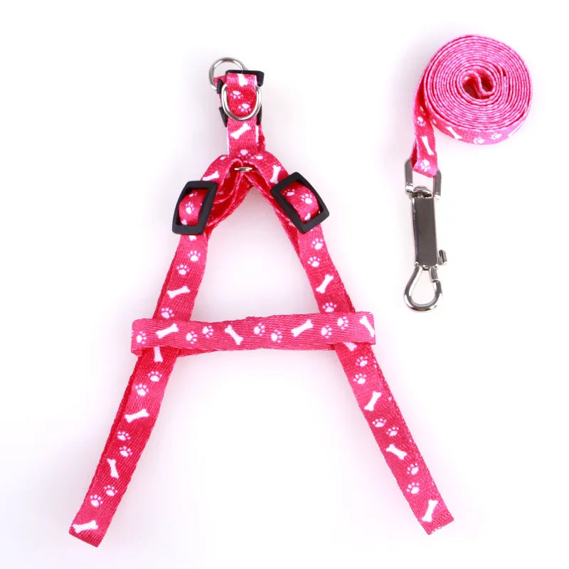 Cheap Small Dog Leash Puppy Leashes Teddy - ProPawPet.com