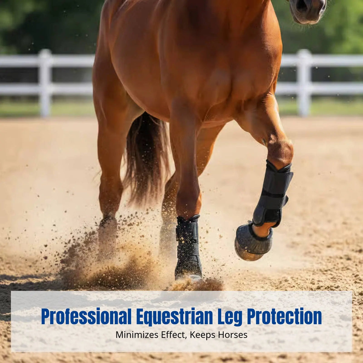 Impact Absorbing Horse Leg Boots, Neoprene - ProPawPet.com