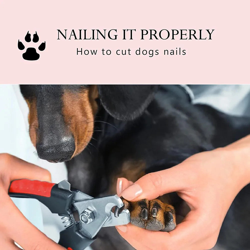 Dog Nail Clippers Dog Nail Trimmers for - ProPawPet.com
