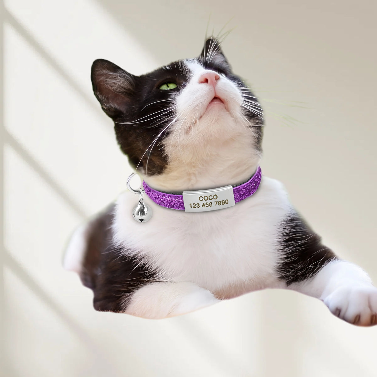 Free Engraving Glitter Cat Safety Buckle - ProPawPet.com