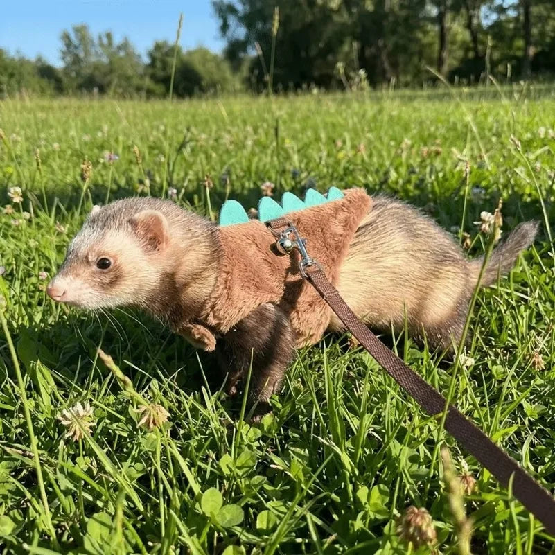 Adjustable Ferret Vest Harness with Bell - ProPawPet.com