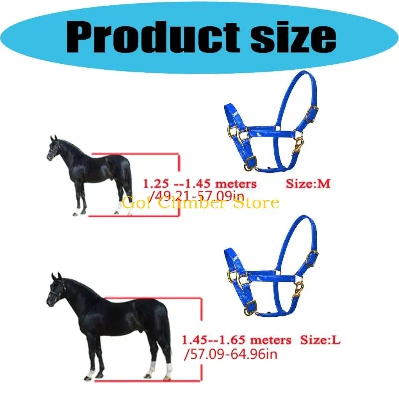 Q84C Quality Fashionable Leather Horse - ProPawPet.com