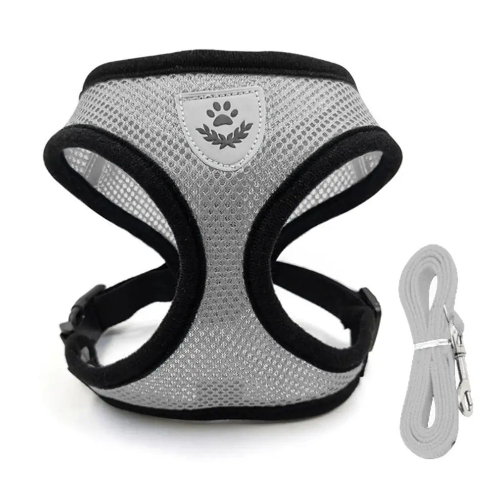 Safe Premium Adjustable Cat Harness and - ProPawPet.com