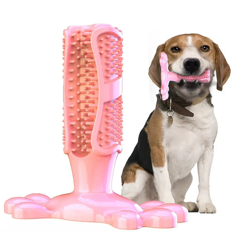 Pet Dog Cactus Interactive Rubber Bite - ProPawPet.com