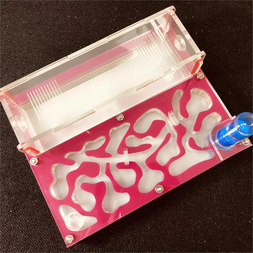 150mmx110mm test tube Moisture big space Ant - ProPawPet.com