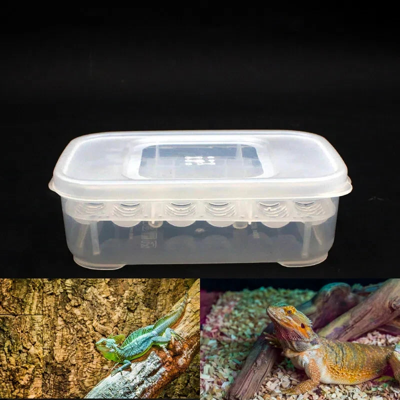 12 Grids Hatch Box Snake Lizard Reptile Egg - ProPawPet.com