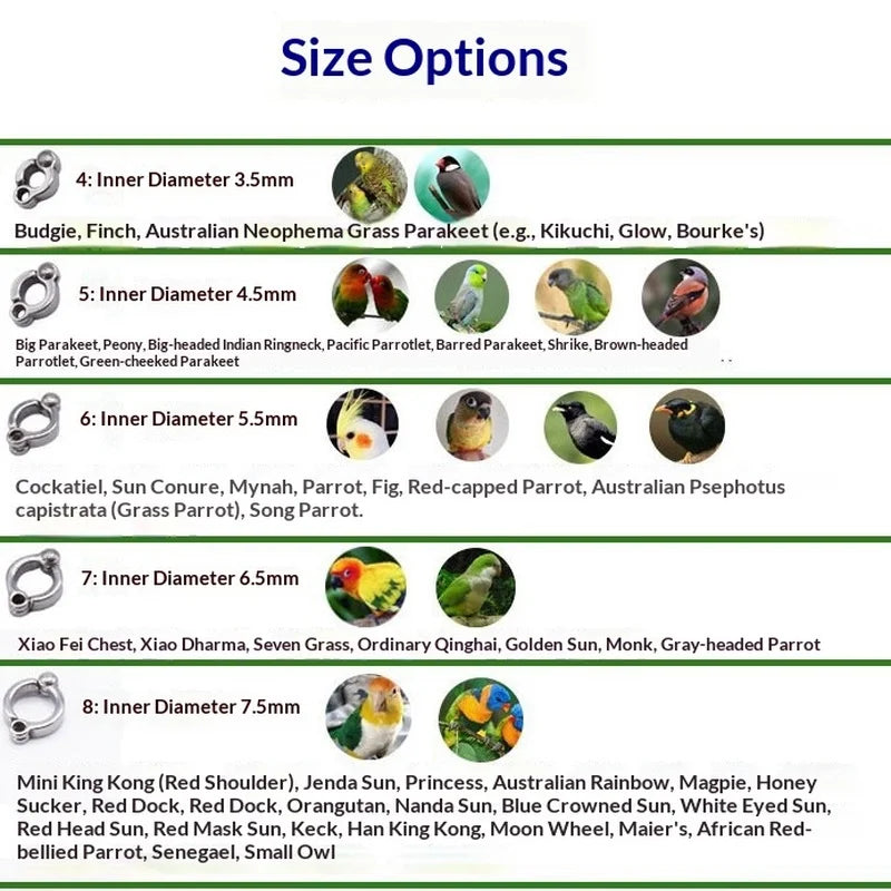 Ultra‑Light Parrot Harness Flight Training - ProPawPet.com