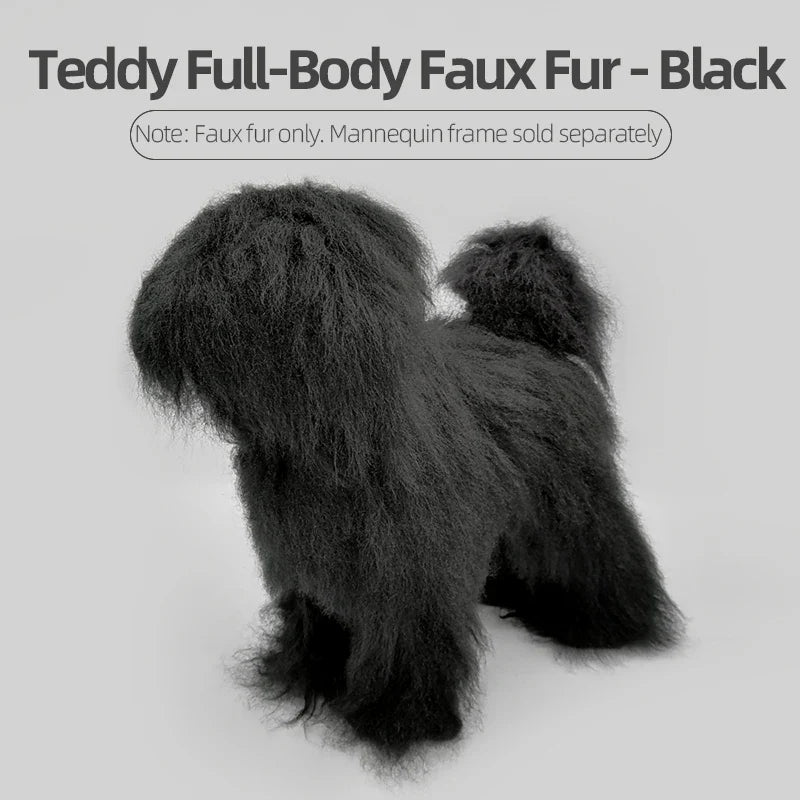 Pet Dog Model Hair Beautician Practice - ProPawPet.com