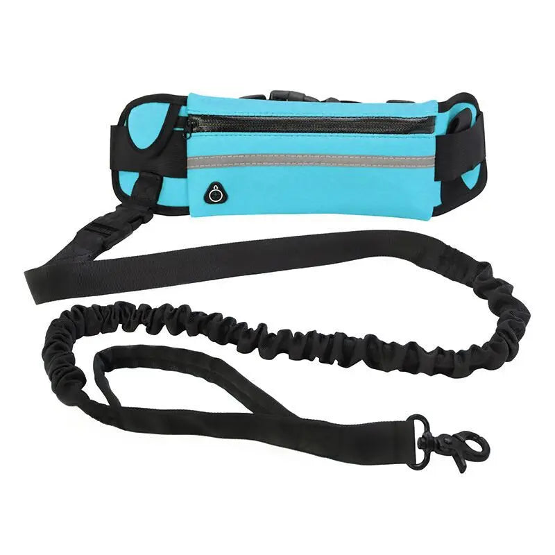 Hands-free Dog Lead Waist Bag, Reflective