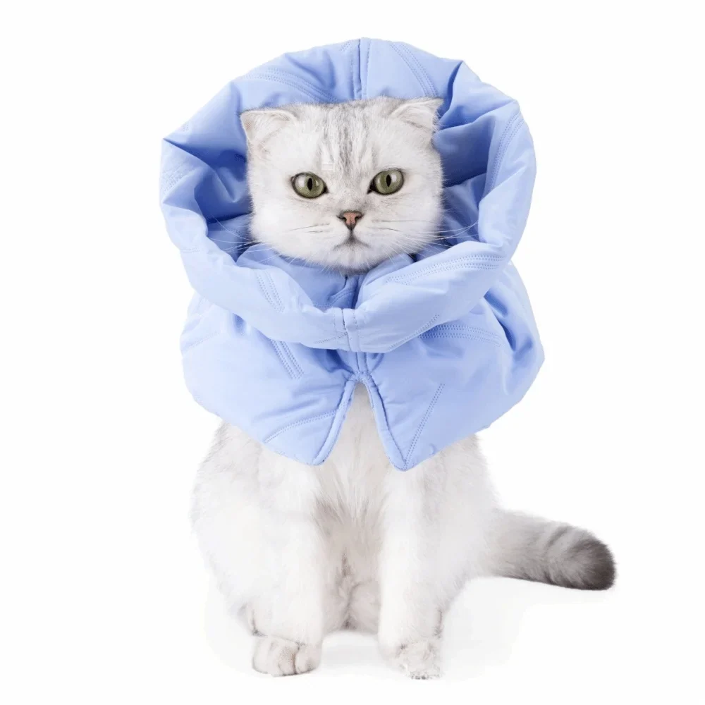 Cute Pet Collar Adjustable Comfortable Cat Elizabethan – Multiple Sizes & Colors
