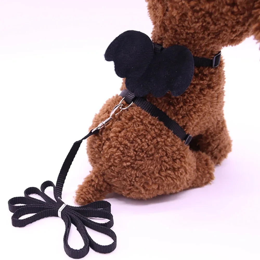 Adjustable Kitten Harness and Leash Set Cute - ProPawPet.com