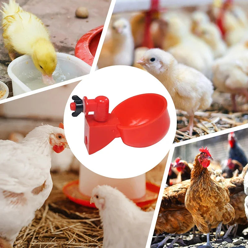 5-50PCS Chicken Drinking Cup Automatic - ProPawPet.com