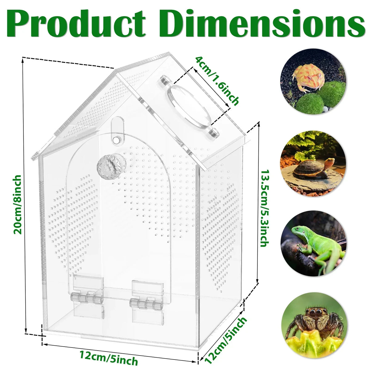 Clear Jumping Spider Enclosure Acrylic Tarantula Terrarium – Reptile Supplies
