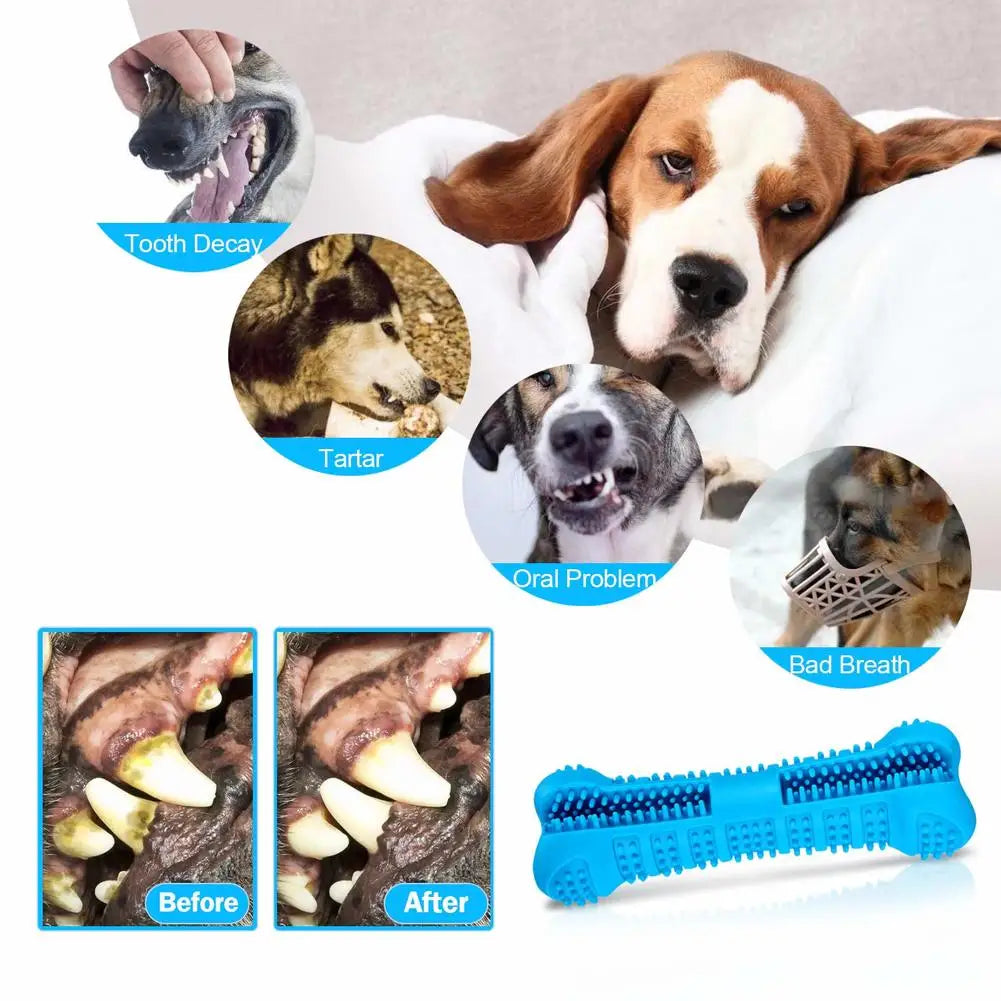 Soft Rubber Dog Toothbrushes Puppy Toys Dog - ProPawPet.com