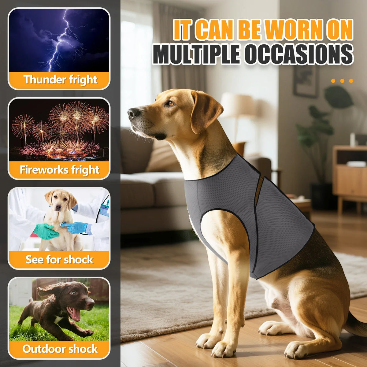 Dog Anxiety Jacket, Dog Coat for Thunder, - ProPawPet.com