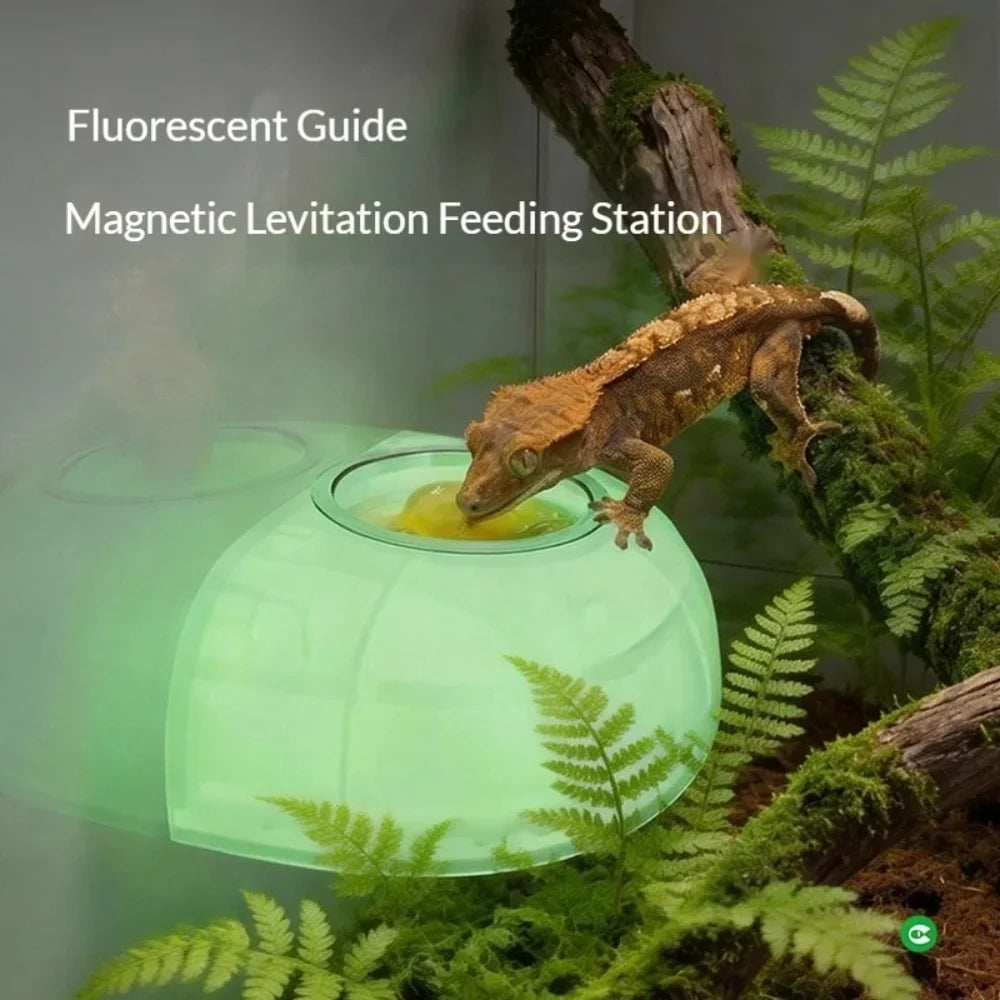 Magnetic Reptile Feeding Bowl with 100PCS - ProPawPet.com