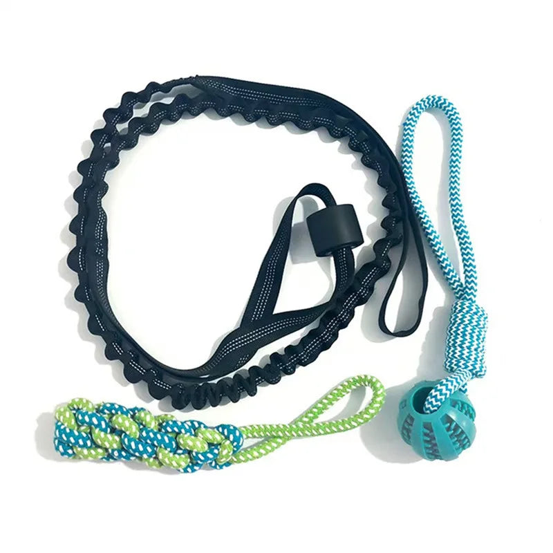 Interactive Spring Pole Dog Rope Toys – Dog Supplies