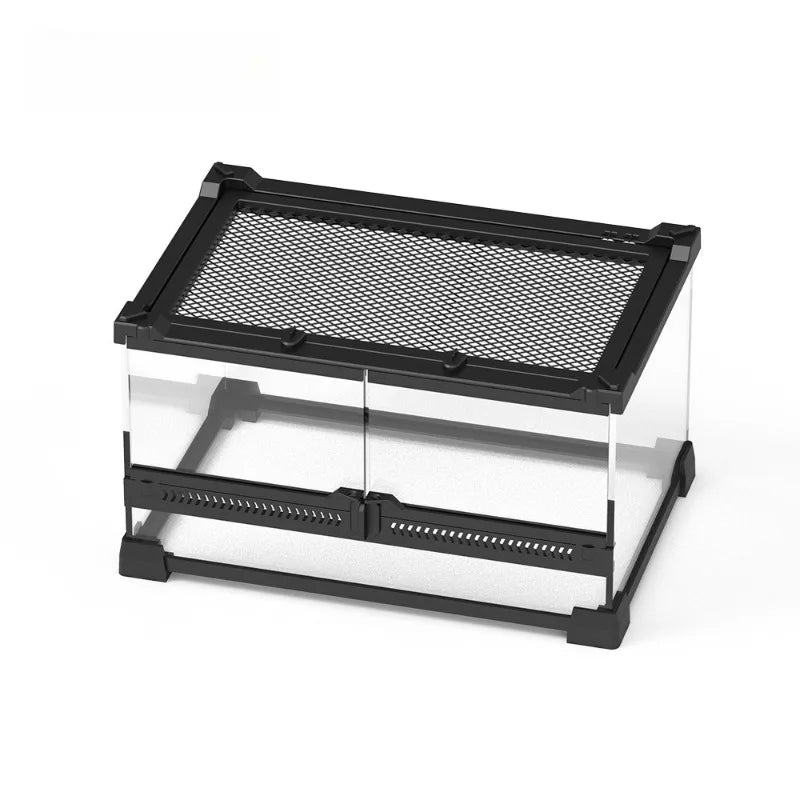 Glass Lizard Terrarium Lizard Supplies Large - ProPawPet.com