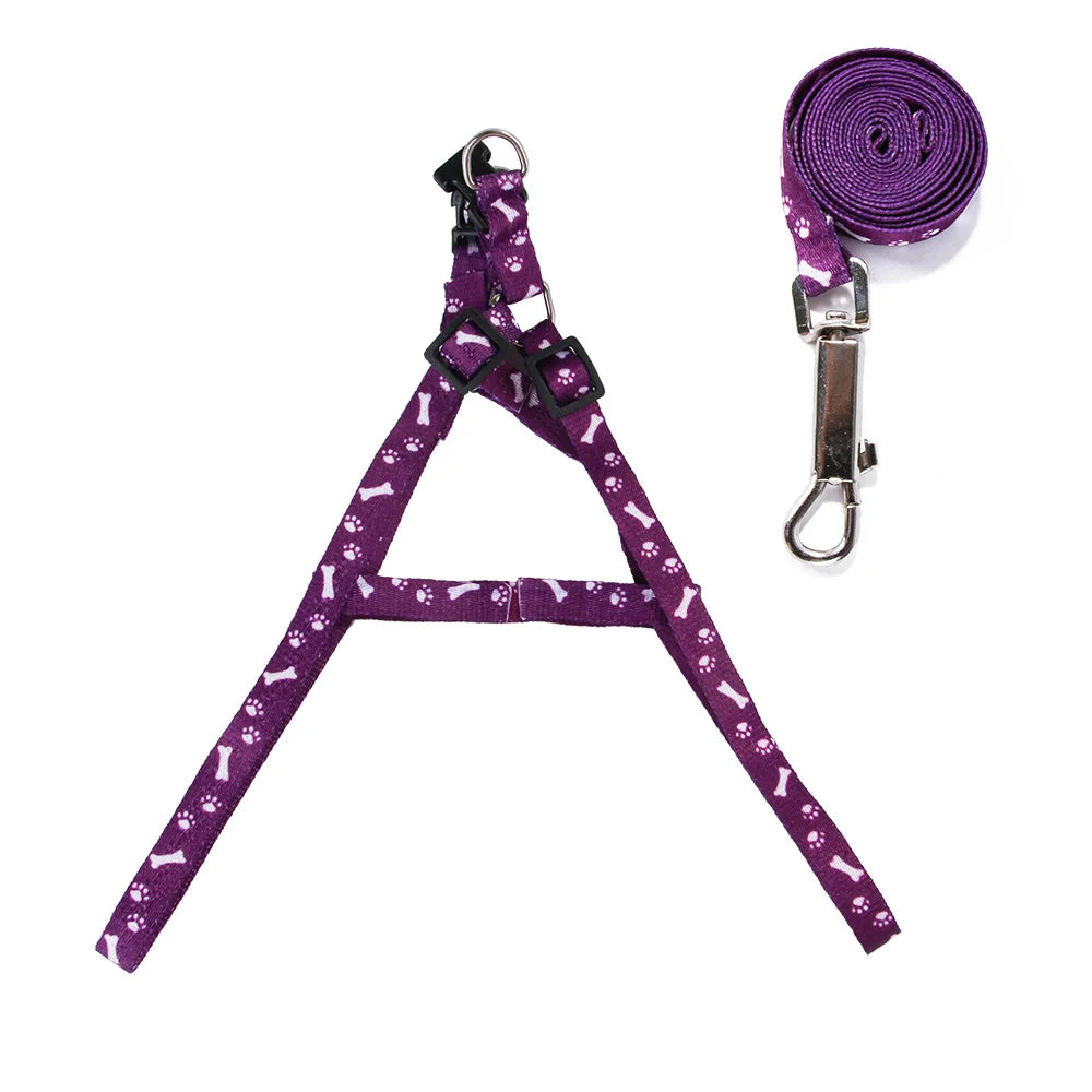 Small Dog Lead Puppy Leashes